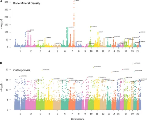 Frontiers | Comprehensive Analysis of the Genetic and