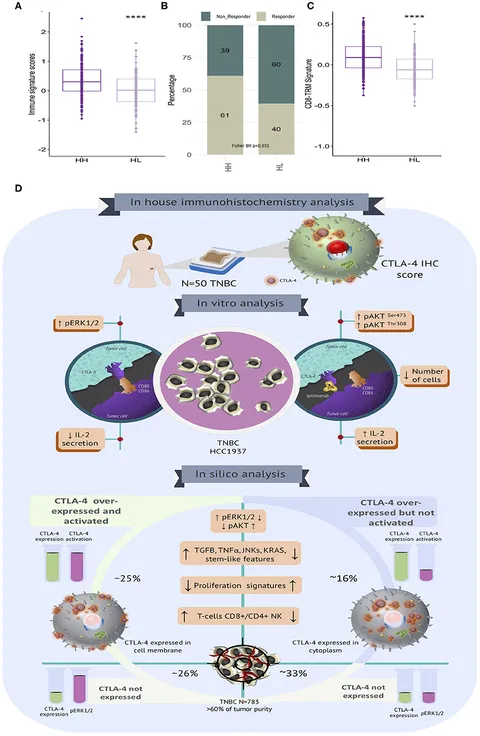 Frontiers | Biological Landscape of Triple Negative Breast