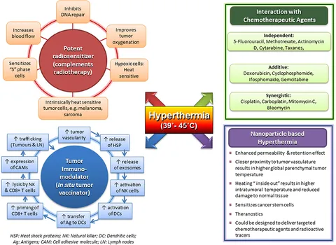 fonc-10-00819-g001.jpg fonc-10-00819-g001.jpg
