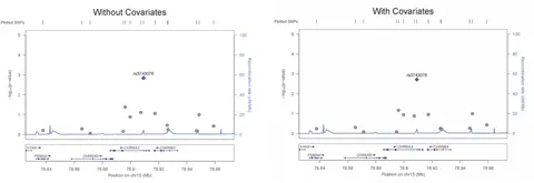 Frontiers | A Variant in the Nicotinic Acetylcholine