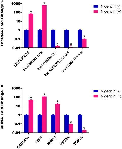 【2025年最新】海外限定の人気アイテム Screening Molecular | Frontiers for in Treatment Nigericin 小物