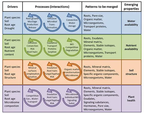 Insights into plant–microbe interactions in the rhizosphere