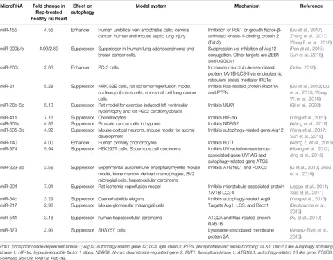 Frontiers | Pro-Senescence and Anti-Senescence Mechanisms of