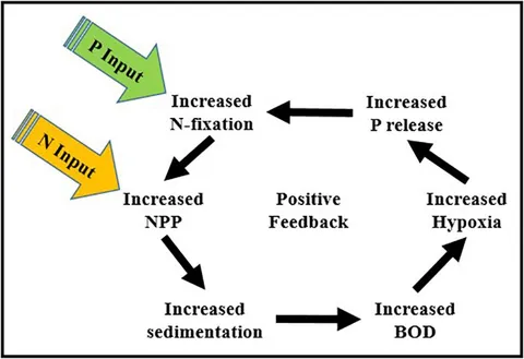 Frontiers | The Globalization of Cultural Eutrophication in Frontiers | The Globalization of Cultural Eutrophication in