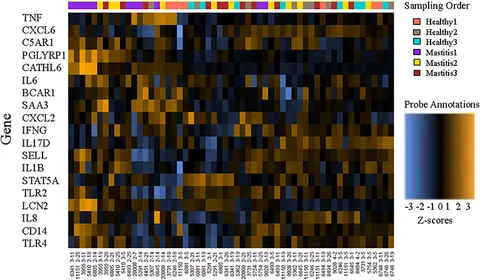 人気アイテムランキング fvets-07-559279-g001.jpg ジャケット・アウター