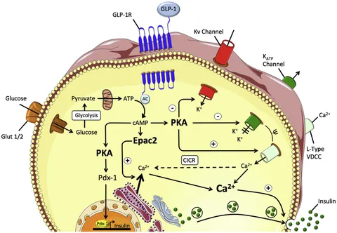 Frontiers | Drug Delivery System in the Treatment of