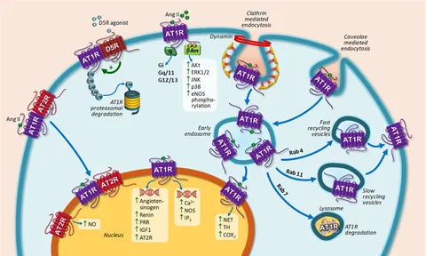 エナジーマーカー Fabrication of a Terbium-Functionalized Cadmium Organic