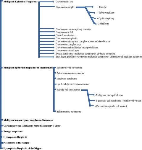 fonc-10-563779-g001.jpg