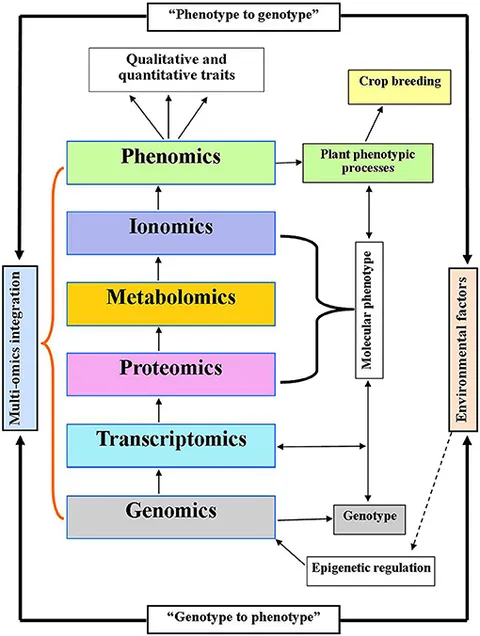 bi. A review of high-temperature solid-state ammonia sensors