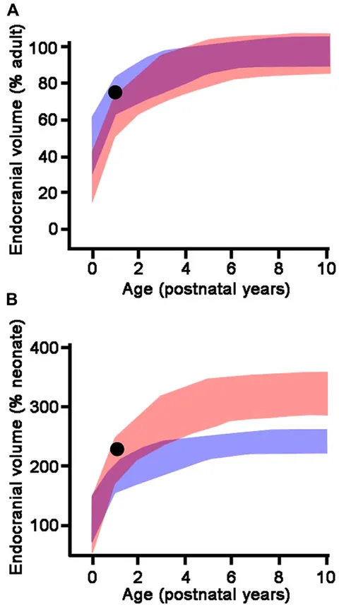 お待たせ! Frontiers | Evolution, development, and plasticity of the Windowsデスクトップ