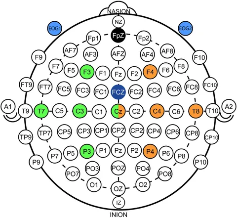 fnhum-14-580105-g001.jpg