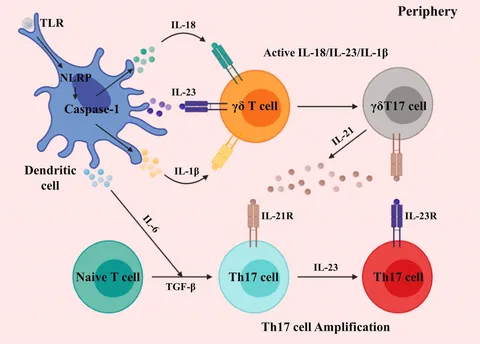 タカシ Progress towards the Total Syntheses of Amaryllidaceae