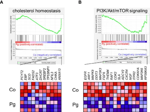 Frontiers | Endotoxemia by Porphyromonas gingivalis Alters