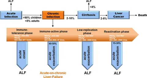 Frontiers | Acute-on-Chronic Liver Failure From Chronic-Hepatitis