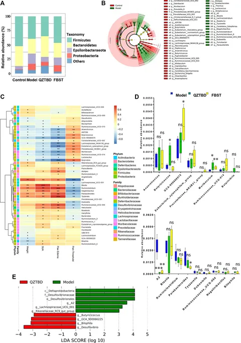 Frontiers | Qu-Zhuo-Tong-Bi Decoction Alleviates Gouty