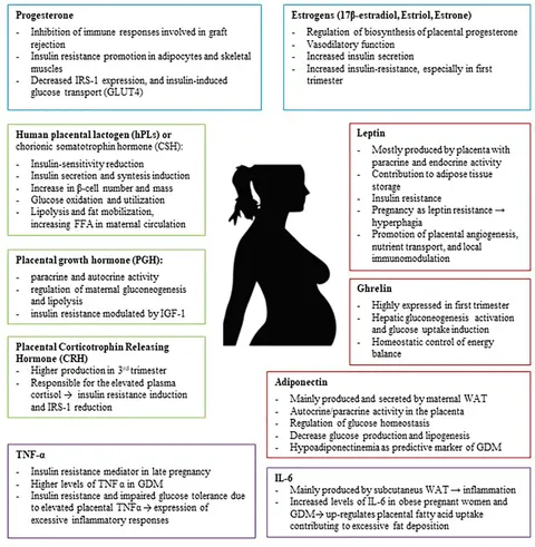 Frontiers | Nutrition and Metabolic Adaptations in Physiological