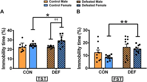 Frontiers | Sex-Dependent Effects of Chronic Social Defeat