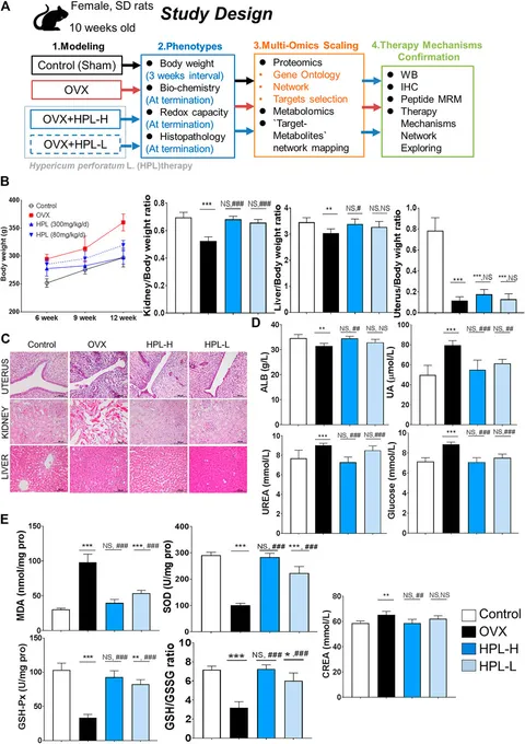 Frontiers | Hypericum perforatum L. Regulates Glutathione