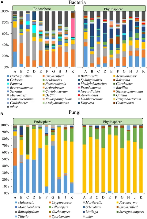 Strategies for the Development of Small Molecule Inhibitors