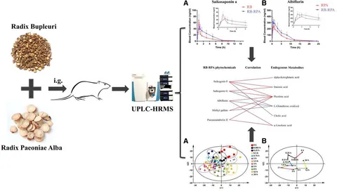 HU様オーダー かじ様 オーダー専用 やかた様オーダー用 ZX｜製品紹介｜YASAKA