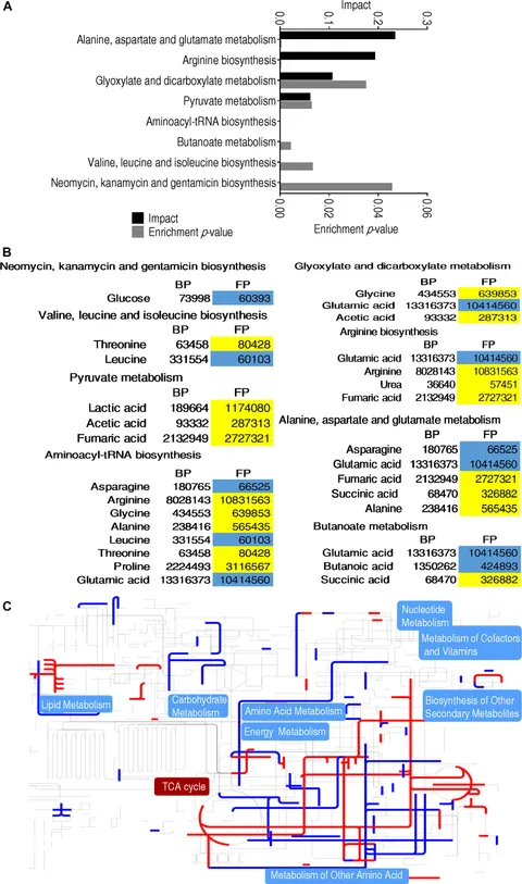 てなグッズや Frontiers | Succinate Promotes Phagocytosis of Monocytes その他