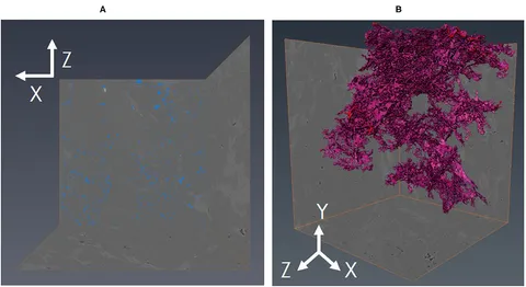 5050 Frontiers | Fracture Shape and Orientation Contributions to