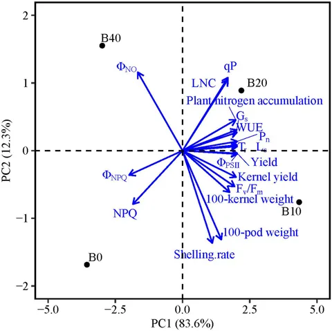 Frontiers | Cadmium Phytotoxicity, Tolerance, and Advanced