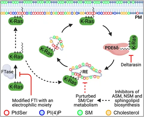 Aa様 Crosstalk between Noncoding RNAs and the Epigenetics