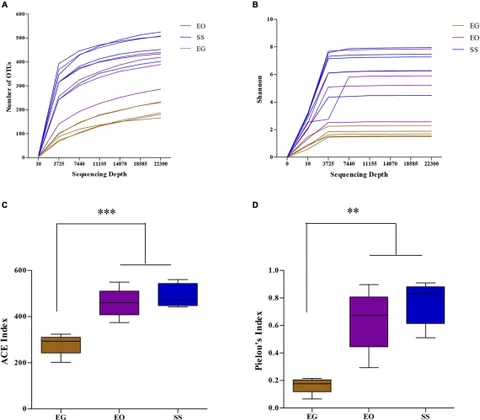 Frontiers | Wolbachia Strain wGri From the Tea Geometrid Moth