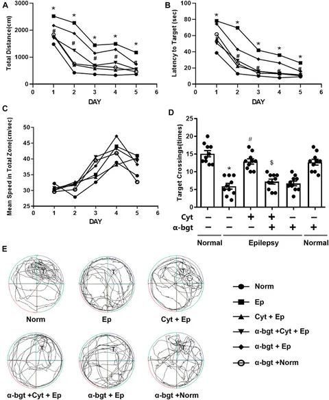 激安商品 Cytisine | Frontiers Exerts via Effect Anti-Epileptic an ネックレス・ペンダント
