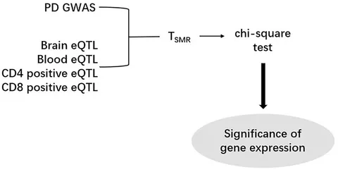fgene-12-712164-g001.jpg