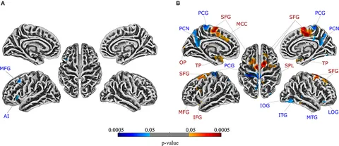 ラヴィ様 Frontiers | Altered Brain Structure in Chronic Visceral Pain