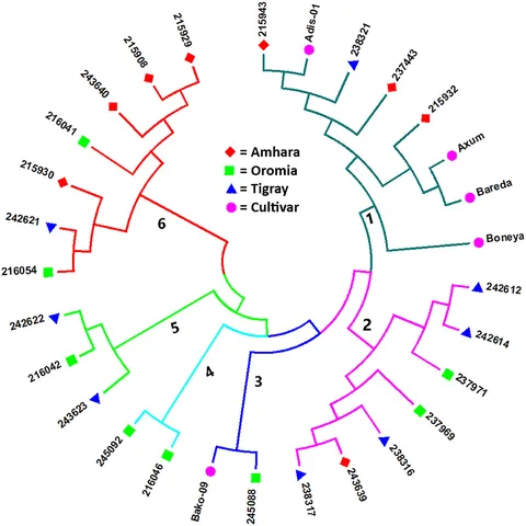Frontiers | Novel Expressed Sequence Tag-Derived and Other