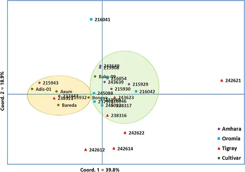 スーパーセール | Frontiers Novel Other and Tag-Derived Sequence Expressed 加湿器
