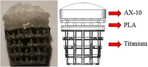 NeuroStructures - Torus-SA