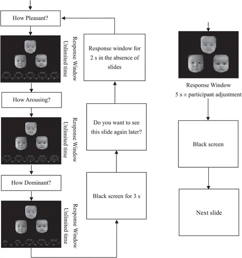 商品画像：DNA Methylation and Apoptosis Resistance in Cancer Cells 1