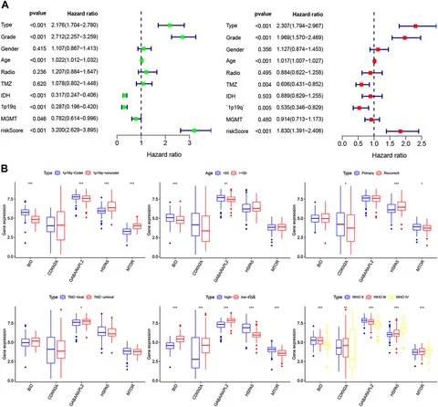 Frontiers | New Autophagy-Ferroptosis Gene Signature