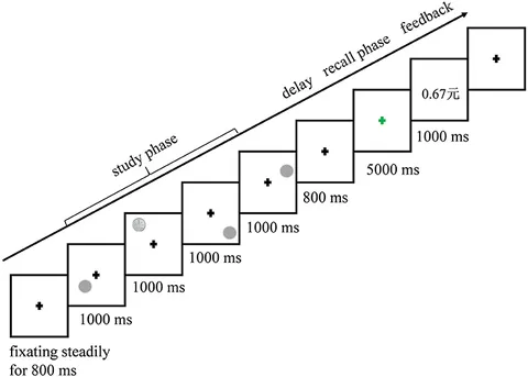 Frontiers | Reward Expectation Differentially Modulates