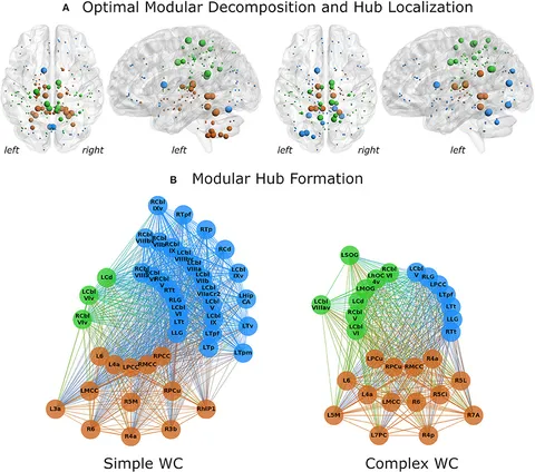 Computational Neuroanatomy: The Methods [ハードカバー] Chung， Moo K. Computational Neuroanatomy: The Methods [ハードカバー] Chung