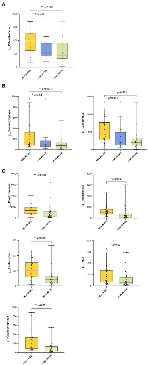Frontiers | Association Between Oral Microbiota and Human
