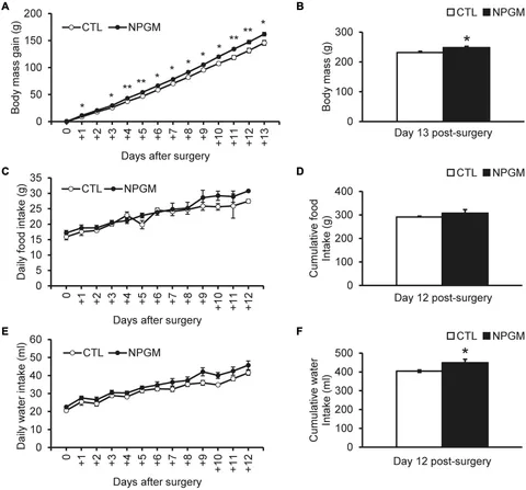 Frontiers | A Novel Hypothalamic Factor, Neurosecretory