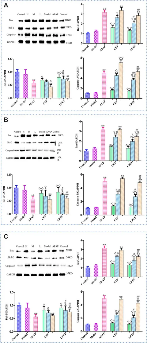 Frontiers | Hepatotoxicity Comparison of Crude and Licorice