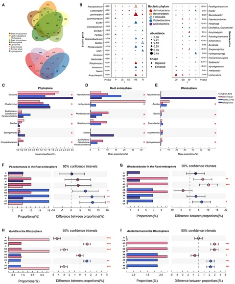 Frontiers | Colonization and Interaction of Bacteria