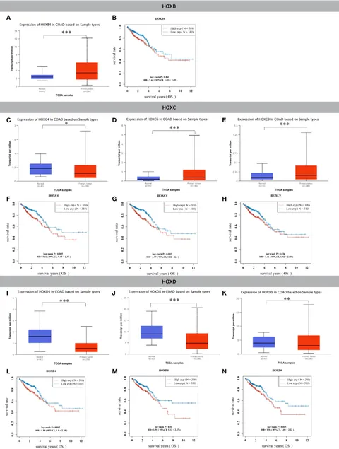 Damage mechanism analysis and fatigue impact factor