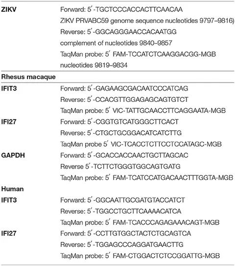 PLACENTA EXCELα ゆりーな Placenta percreta managed by transverse uterine fundal