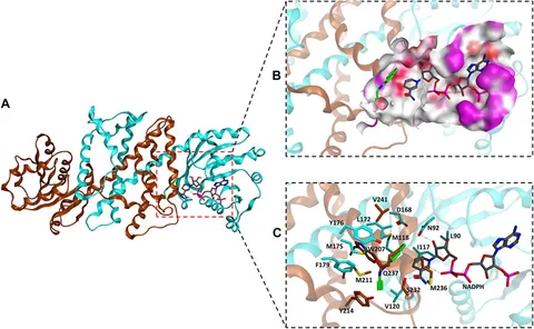 aminaseページ Structural basis of sequence-specific cytosine deamination
