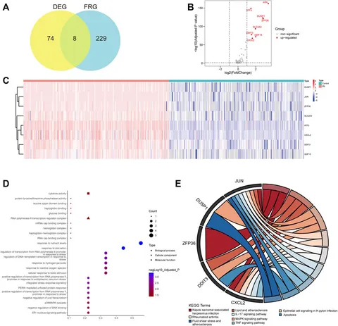 Frontiers | Identification of Subtypes and a Delayed Graft