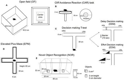 Zenith Z7 multi-brand bi-directional scan automotive