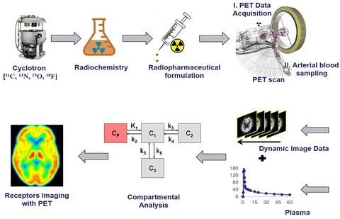 PET Chemistry The Driving Force in Mole… Silicon-[18F]Fluorine Radiochemistry: Basics, Applications