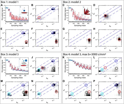 その他 t.10 Polarization superposition of room-temperature polariton